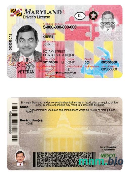 Szablon prawa jazdy USA Maryland w formacie PSD, ze wszystkimi czcionkami